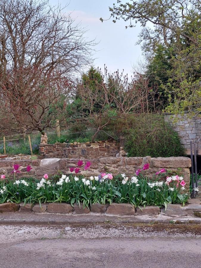 The Millers Cottage Okehampton Esterno foto