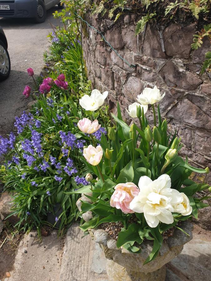 The Millers Cottage Okehampton Esterno foto